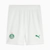 Image PUMA Shorts Palmeiras Torcedor HOME 2025 #6