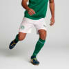 Image PUMA Shorts Palmeiras Torcedor HOME 2025 #1