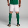 Image PUMA Shorts Palmeiras Torcedor HOME 2025 #2