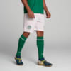 Image PUMA Shorts Palmeiras Torcedor HOME 2025 #3