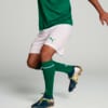 Image PUMA Shorts Palmeiras Torcedor HOME 2025 #4