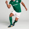 Image PUMA Shorts Palmeiras Torcedor HOME 2025 #5