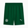 Image PUMA Shorts Palmeiras Torcedor AWAY 2025 #6