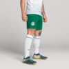 Image PUMA Shorts Palmeiras Torcedor AWAY 2025 #1