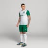 Image PUMA Shorts Palmeiras Torcedor AWAY 2025 #2