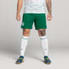 Image PUMA Shorts Palmeiras Torcedor AWAY 2025 #3