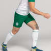 Image PUMA Shorts Palmeiras Torcedor AWAY 2025 #4