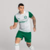 Image PUMA Shorts Palmeiras Torcedor AWAY 2025 #5