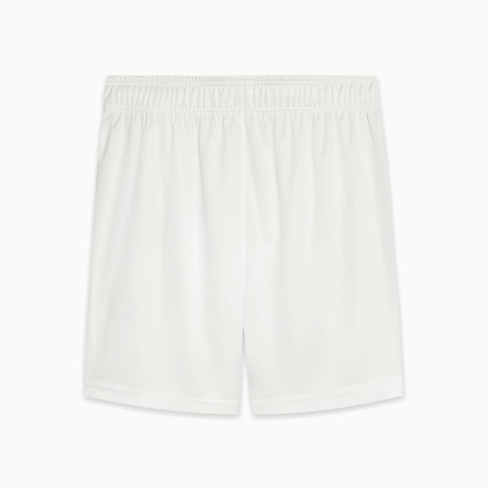 Image PUMA Shorts Palmeiras Torcedor HOME 2025 Juvenil #2