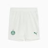 Image PUMA Shorts Palmeiras Torcedor HOME 2025 Juvenil #1