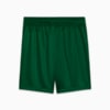 Image PUMA Shorts Palmeiras Torcedor AWAY 2025 Juvenil #2