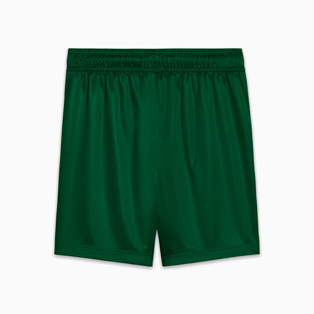 Image PUMA Shorts Palmeiras Torcedor AWAY 2025 Juvenil #2