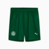 Image PUMA Shorts Palmeiras Torcedor AWAY 2025 Juvenil #1