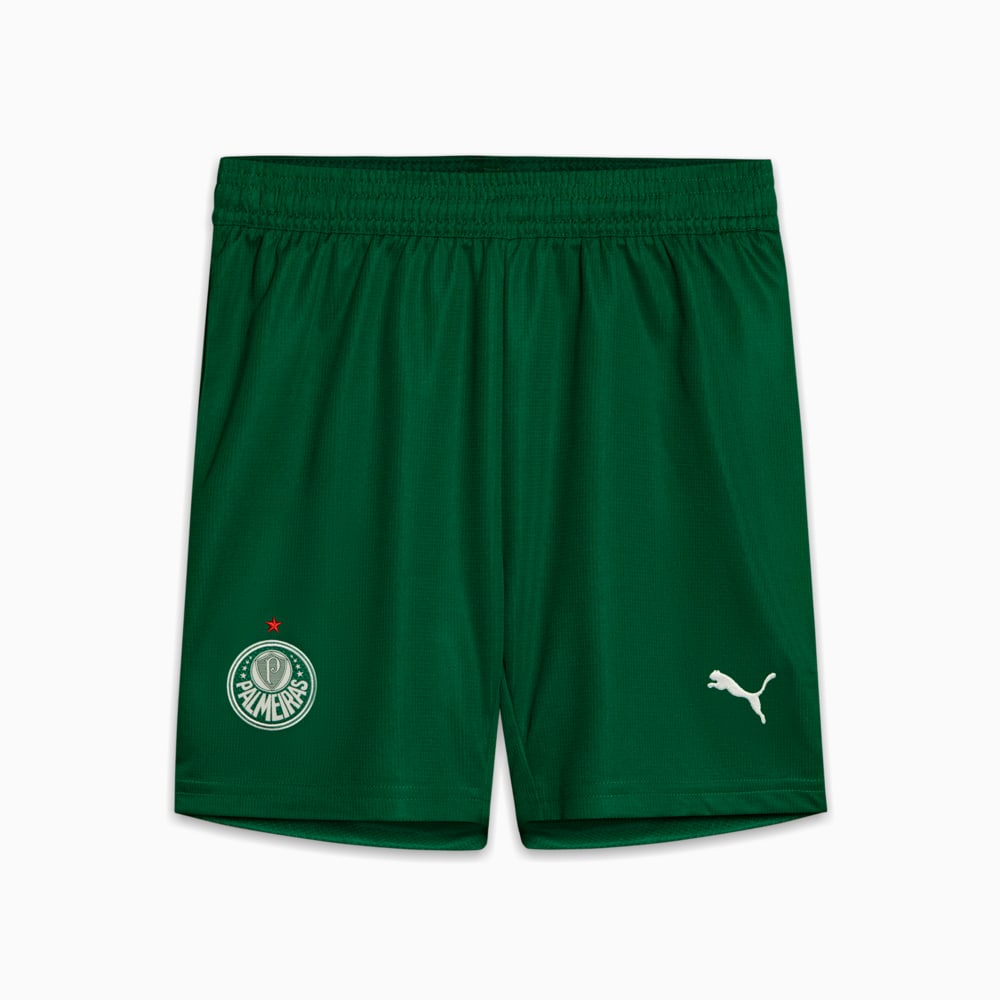 Image PUMA Shorts Palmeiras Torcedor AWAY 2025 Juvenil #1