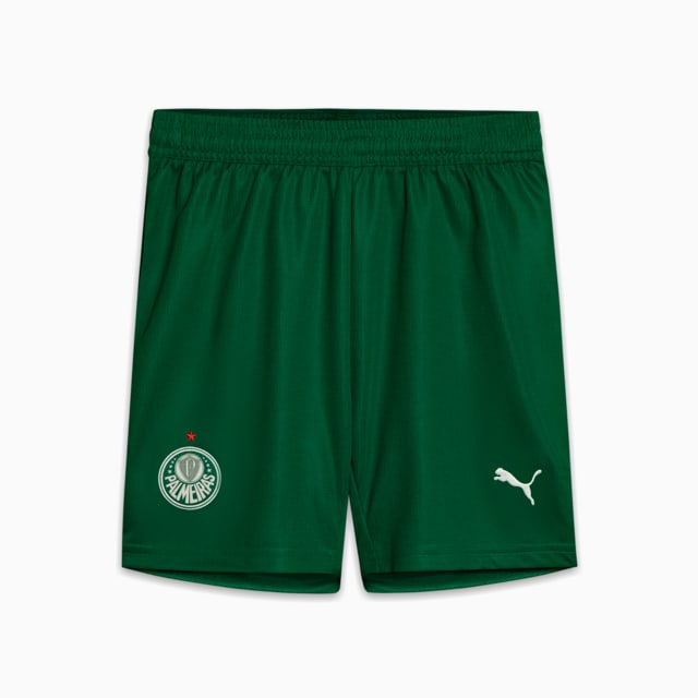Image PUMA Shorts Palmeiras Torcedor AWAY 2025 Juvenil