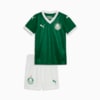 Image PUMA Conjunto Minikit Palmeiras Torcedor HOME 2025 #1