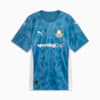 Image PUMA Camisa Goleiro Palmeiras Jogador HOME 2025 #6