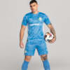 Image PUMA Camisa Goleiro Palmeiras Jogador HOME 2025 #1