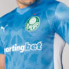 Image PUMA Camisa Goleiro Palmeiras Jogador HOME 2025 #3