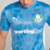 Image PUMA Camisa Goleiro Palmeiras Jogador HOME 2025 #4