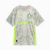Image PUMA Camisa Goleiro Palmeiras Jogador THIRD 2025 #6
