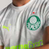 Image PUMA Camisa Goleiro Palmeiras Jogador THIRD 2025 #4