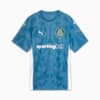 Image PUMA Camisa Goleiro Palmeiras Torcedor HOME 2025 #6