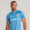 Image PUMA Camisa Goleiro Palmeiras Torcedor HOME 2025 #2