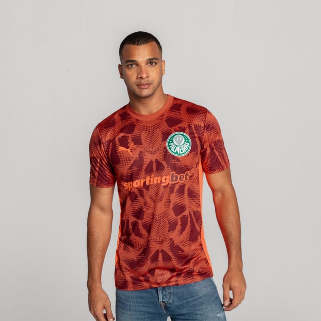 Image PUMA Camisa Goleiro Palmeiras Torcedor AWAY 2025