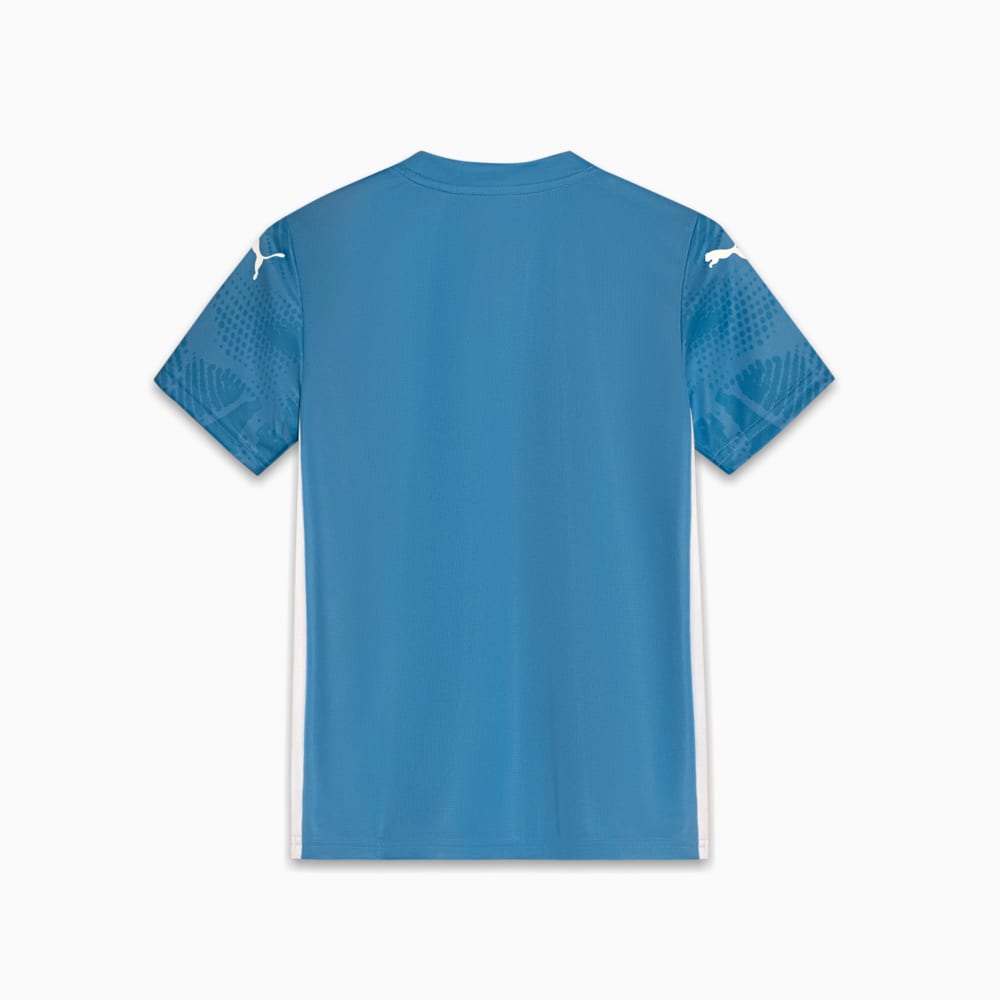 Image PUMA Camisa Goleiro Palmeiras Torcedor HOME 2025 Juvenil #2