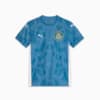 Image PUMA Camisa Goleiro Palmeiras Torcedor HOME 2025 Juvenil #1