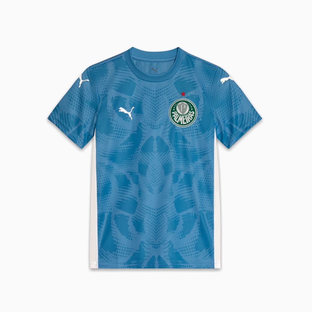 Image PUMA Camisa Goleiro Palmeiras Torcedor HOME 2025 Juvenil #1