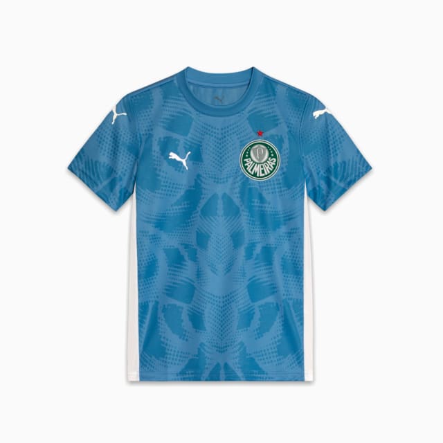 Image PUMA Camisa Goleiro Palmeiras Torcedor HOME 2025 Juvenil