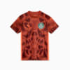 Image PUMA Camisa Goleiro Palmeiras Torcedor AWAY 2025 Juvenil #1