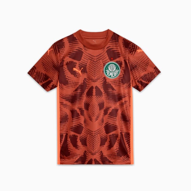 Image PUMA Camisa Goleiro Palmeiras Torcedor AWAY 2025 Juvenil