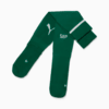 Image PUMA Meião Palmeiras HOME 2025 #6