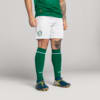 Image PUMA Meião Palmeiras HOME 2025 #1