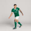 Image PUMA Meião Palmeiras HOME 2025 #4