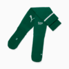 Image PUMA Meião Palmeiras HOME 2025 Juvenil #1