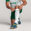 Image PUMA Meião Palmeiras AWAY 2025 #1