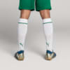 Image PUMA Meião Palmeiras AWAY 2025 #2