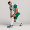 Image PUMA Meião Palmeiras AWAY 2025 #4