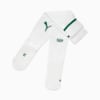 Image PUMA Meião Palmeiras AWAY 2025 Juvenil #1