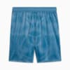Image PUMA Shorts Goleiro Palmeiras Jogador  HOME 2025 #7