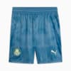 Image PUMA Shorts Goleiro Palmeiras Jogador  HOME 2025 #6