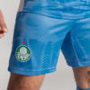 Image PUMA Shorts Goleiro Palmeiras Jogador  HOME 2025 #1