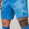 Image PUMA Shorts Goleiro Palmeiras Jogador  HOME 2025 #2