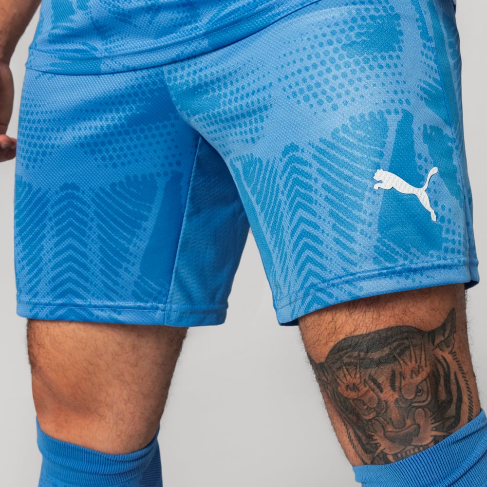 Image PUMA Shorts Goleiro Palmeiras Jogador  HOME 2025 #2
