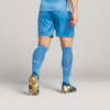 Image PUMA Shorts Goleiro Palmeiras Jogador  HOME 2025 #3