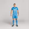 Image PUMA Shorts Goleiro Palmeiras Jogador  HOME 2025 #5